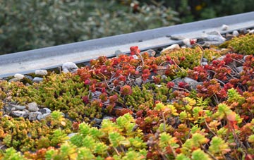 the cost of Alperton green roof installation