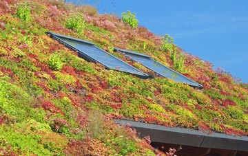 Alperton living roof systems